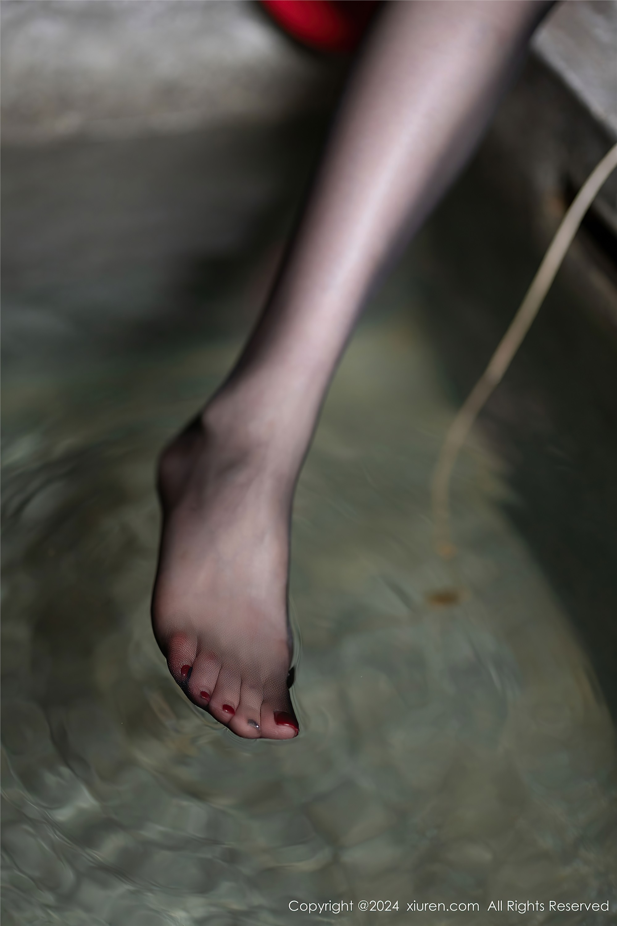 Xiuren秀人网 2024.10.15 NO.9291 梦心玥